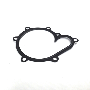 30720302 Engine Water Pump Gasket